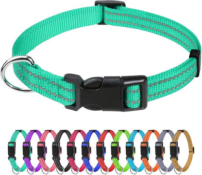 TagME Reflective Nylon Dog Collars, Adjustable Classic Pet Collar with Quick Release Buckle for Puppy, Turquoise, 3/8" Width