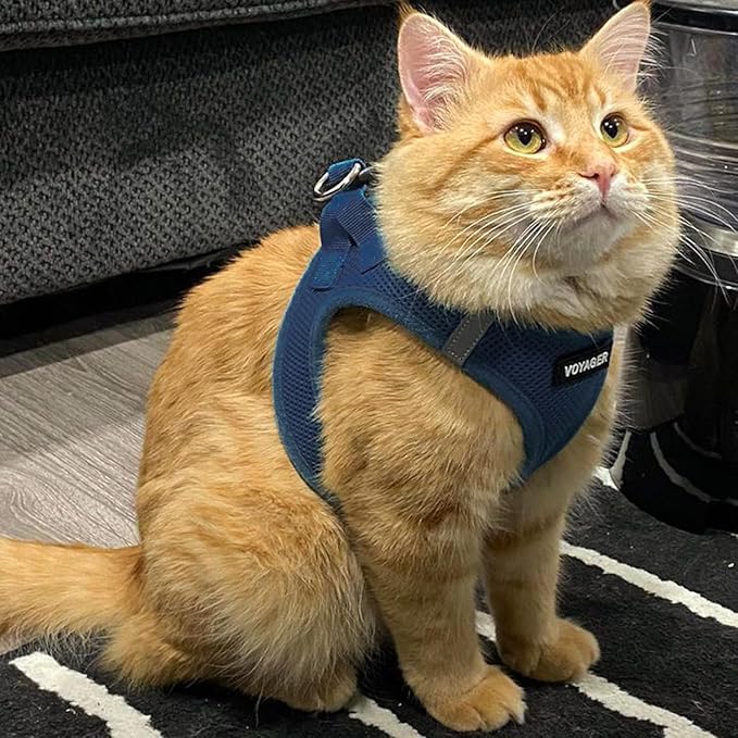 Best Pet Supplies Voyager Step-in Air Harness - All Weather Mesh, Reflective, No Pull Harness for Dogs, Cats - Secure with Hook & Loop Fastener, Buckle, Double D-Rings - Blue, XS