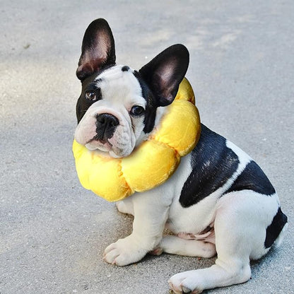 KUDES Cat Small Dog Recovery Collar, Cute Sunflower Neck Cone After Surgery, Adjustable Pet E Collar, Wound Healing Protective Cone Surgery Recovery Elizabethan Collars for Small Pets