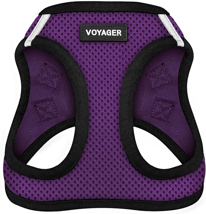 Best Pet Supplies - All Weather Mesh/Plush, Reflective, No Pull Harness for Small, Medium Dogs, Cats - Secure with Hook & Loop Fastener, Buckle, Double D-Rings - Purple/Black Trim, S