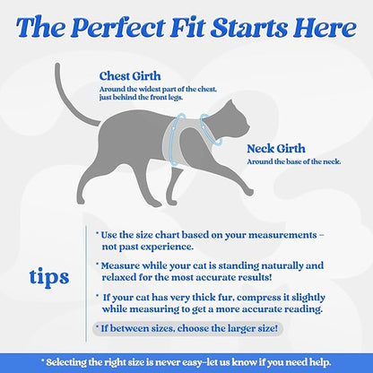 rabbitgoo Cat Harness and Leash Set for Walking Escape Proof, Adjustable Soft Kittens Vest with Reflective Strip for Cats, Comfortable Outdoor Vest, Blue, S