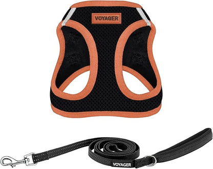 Best Pet Supplies Voyager Step-in Air All Weather Mesh Harness and Reflective Dog 5 ft Leash Combo with Neoprene Handle, for Small, Medium and Large Breed Puppies - Black/Orange Trim, X-Small