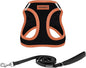 Best Pet Supplies Voyager Step-in Air All Weather Mesh Harness and Reflective Dog 5 ft Leash Combo with Neoprene Handle, for Small, Medium and Large Breed Puppies - Black/Orange Trim, X-Small