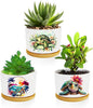 Turtle Succulent Pots 3 Pack, 3 Inch Succulent Planters with Drainage and Bamboo Tray, Turtle Gifts for Women, Ceramic Small Pots for Baby Plants, Cactus, Herbs- Plants Not Included