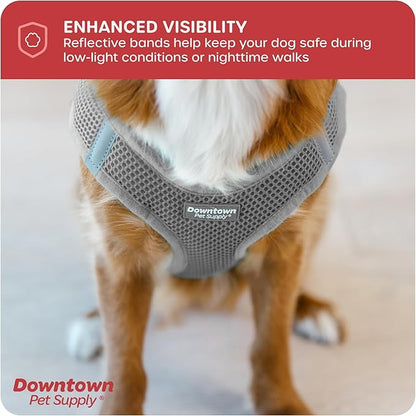 Downtown Pet Supply Step-in Dog Harness – No Pull, Adjustable Padded Mesh with Reflective Trim, Secure Buckle Strap – Comfortable & Breathable Small Dog Harness, Small, Light Gray