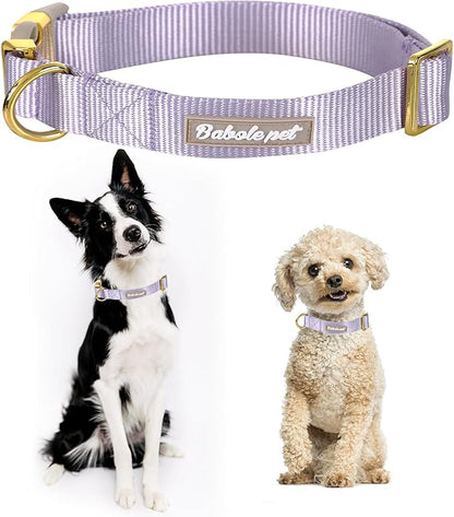 Nylon Dog Collar - Adjustable Lavender Soft Webbing Dog Collars for Small Medium Large Dogs Boy Girl Puppy Collar with Safety Metal Buckle M