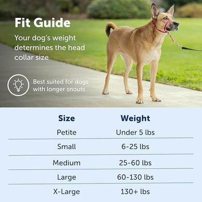 PetSafe Gentle Leader Headcollar No-Pull Dog Collar - Helps Improve Walks - Durable Nylon Construction - Padded Nose Loop - Adjustable Fit - Comfort Walking Halter - Medium,Charcoal,(Pack of 6)