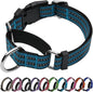 Martingale Dog Collar, Adjustable Nylon Reflective Collar with Quick Release Buckle (Gentian Blue, Small)
