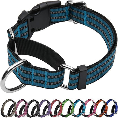 Martingale Dog Collar, Adjustable Nylon Reflective Collar with Quick Release Buckle (Gentian Blue, Large)