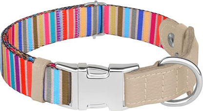 AirTag Dog Collar for Small Medium Large Breed - Adjustable Cute Pattern Dog Collar with Airtag Holder - Soft Leather Tracker GPS Apple Air Tag Pet Collars (Large, 17"-21" Neck Fit, Serape)