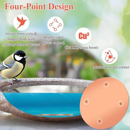 Bird Bath Copper Disk, Premium 99.99% Pure Copper, Less Cleaning Frequency, 0.6mm Pure Copper Cleaning Disk, Bird Bath Accessories, Physical Safe Water Purify Outdoor Bird Bowls