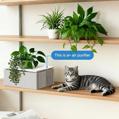Air Purifiers for Home Large Room Up to 1300 Ft², MOOKA HEPA Air Purifier for Home Pets with Washable Pre-Filter, Fragrance, Air Cleaner for Pet Hair Odor in Bedroom, Dorm Room, Office, White