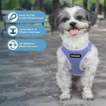 Best Pet Supplies Voyager Step-in Air Harness - All Weather Mesh, Reflective, No Pull Harness for Dogs, Cats - Secure with Hook & Loop Fastener, Buckle, Double D-Rings - Lavender, XXS