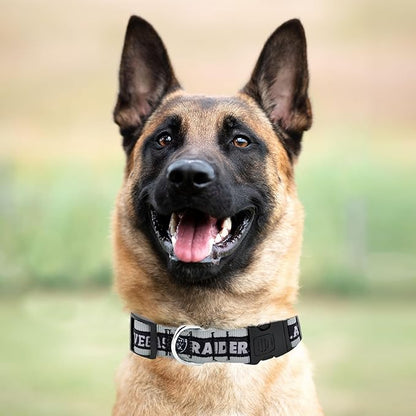 Pets First NFL Raiders Licensed PET COLLAR, Extra Large - Heavy-Duty, Strong, and Durable Dog Collar. Available in 31 Football Teams and 4 Sizes