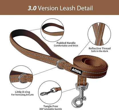 AIITLE Easy Walk Dog Harness and Leash Set - Pet Supply No Pull, Step in Adjustable Dog Harness with Padded Vest, Dog Harness No Choke Over, Easy to Put on Medium Dogs Beige L