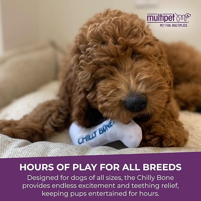 Multipet Chilly Bone Dog Toy - Vanilla-Scented Canvas Freezable Teething Toys - Frozen Toy for Chewing & Playing - Freezable Dog Toys (1 Count, 5.5”)