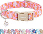 Faygarsle Floral Dog Collar, Pink and Orange Pattern with White Flowers, Spring Summer Design for Small Medium Large Dogs S