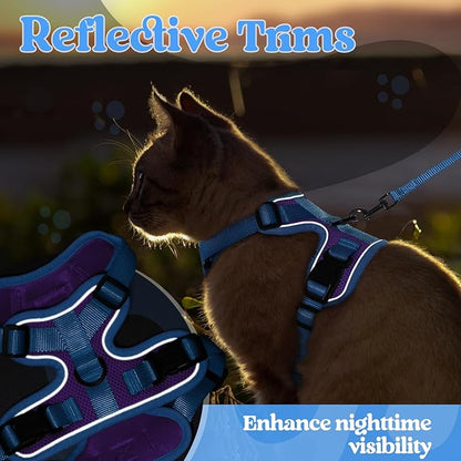 rabbitgoo Cat Harness and Leash Set, Escape Proof Soft Adjustable Vest Harnesses for Outdoor Walking, Easy Control Breathable Kitten Jacket with Reflective Strips, Purple & Blue, XXS