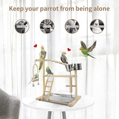 Bird Playground, Playstand for Parrot Cage Accessories (1 Ladder with Swing)