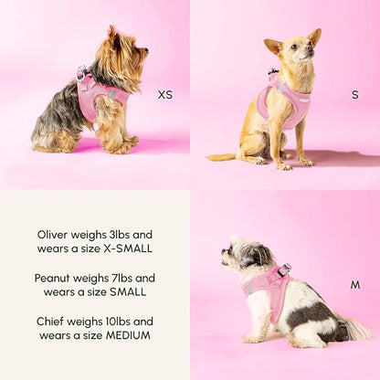 Downtown Pet Supply Step in Dog Harness for Large Dogs - Adjustable, Escape Proof Dog Harness with Reflective Trim - All-Weather, Fast-Drying Padded Mesh Fabric - Tangerine, X-Large