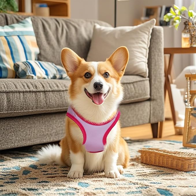 4 Pack Dog Shirts Summer Printed Puppy Clothes Cute Sleeveless Pet T Shirts Dog Clothes for Small Medium Dogs Cats Girl(L)