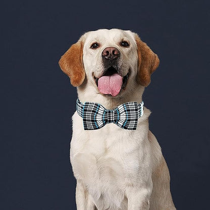 Lionheart glory Dog Bow Collar Blue and Black Plaid Dog Collar for X-Small Dogs,Boy Dog Collars with Bowtie Spring Summer Collars Soft Adjustable Pet Collar Bows