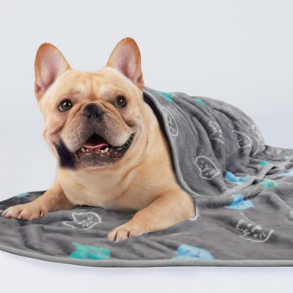 1 Pack 3 Blankets Super Soft Fluffy Premium Cute Cat Pattern Pet Blanket Flannel Throw for Dog Puppy Kitten Blue/Cyan/Grey Large(41x31 inch)