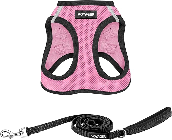Best Pet Supplies Voyager Step-in Air All Weather Mesh Harness and Reflective Dog 5 ft Leash Combo with Neoprene Handle, for Small, Medium and Large Breed Puppies - Pink Base, XS