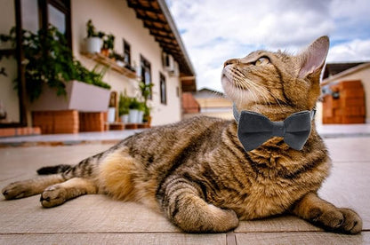 Cat Collar Breakaway with Bell and Removable Bow Tie Safety Buckle Velvet Adjustable 7-11 inches for Kitten Cats (Black)