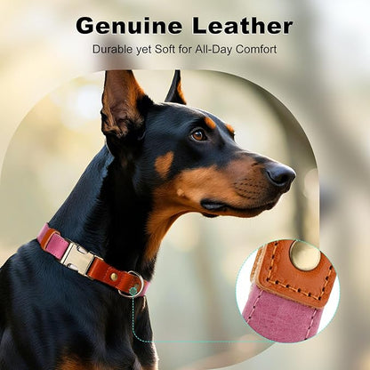 Plutus Pet Genuine Leather & Hemp Dog Collar – Adjustable Heavy Duty Pet Collar with Quick Release Metal Buckle, Soft & Stylish for Puppy and Small, Medium, Large Dogs (Pink, XS)
