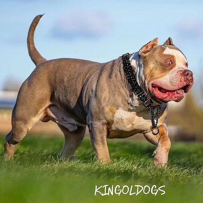 Black Dog Chain Collar Stainless Steel Black Dog Collar Adjustable Walking, Metal Cuban Link Dog Collar Chew Proof Double Row Chain Dog Collar for Large Small Medium Dogs