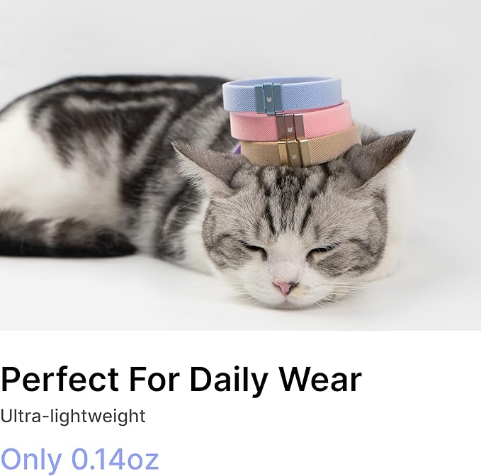 Safety Cat Collar - U.S. IDA Gold Awarding Design, Stretch Elastic Quick Release, Non Breakaway - Light Weight for Kitten, Neck Fit 5.9'-11.8' for All Small Large Cat,S(Monet Purple)