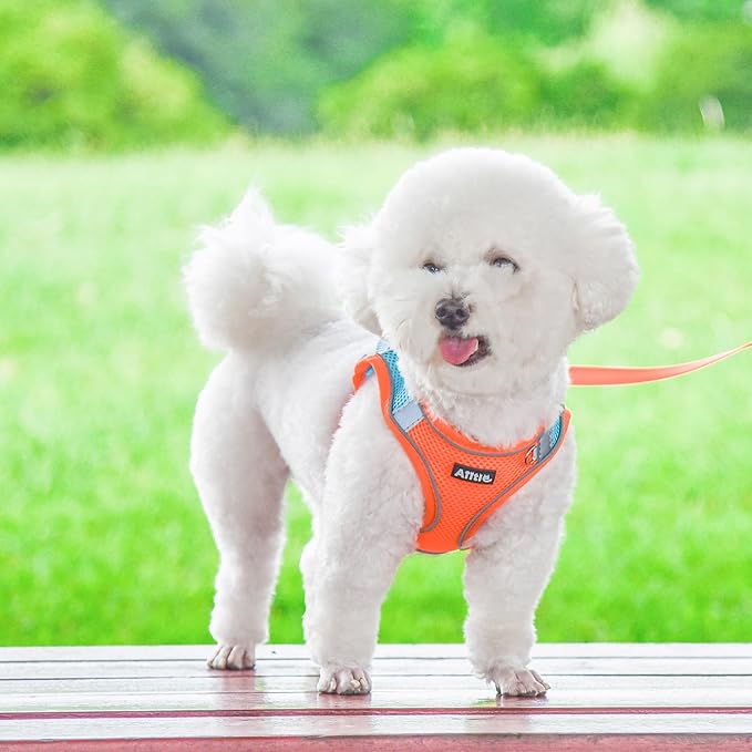 AIITLE Step in Dog Harness and Leash Set - No Pull Escape Proof Vest Harnesses with Soft Mesh and Reflective Bands, Adjustable Pet Outdoor Harnesses for Small and Medium Dogs Orange M