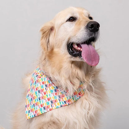 Birthday Dog Bandanas 1 Pack, Colorful HBD Dog Scarfs for Boy and Girl, Pet Scarves for Boy and Girl Bandanas for Small Medium Large Dogs (It's My Birthday, One Size)