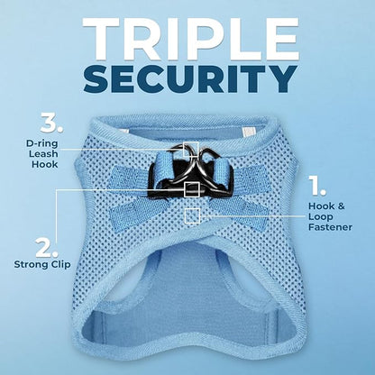 Best Pet Supplies Voyager Step-in Air All Weather Mesh Harness and Reflective Dog 5 ft Leash Combo with Neoprene Handle, for Small, Medium and Large Breed Puppies - Set (Baby Blue), XXS