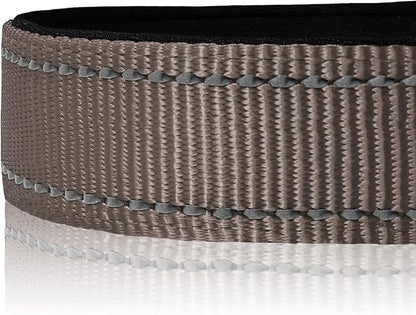 Joytale Reflective Dog Collar, Soft Neoprene Padded, Metal D-Ring, Nylon Pet Collar Adjustable for Medium Dogs, Brown, Medium