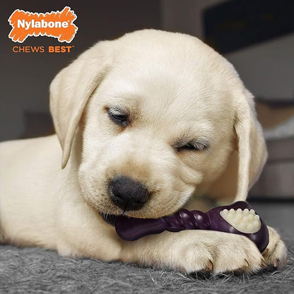 Nylabone Double Action Bone Puppy Chew Toy, Rubber Teething Toys for Puppies, Puppy Chew Bone, Bacon Flavor, Small Dogs - Up to 25 lbs., 1 Count