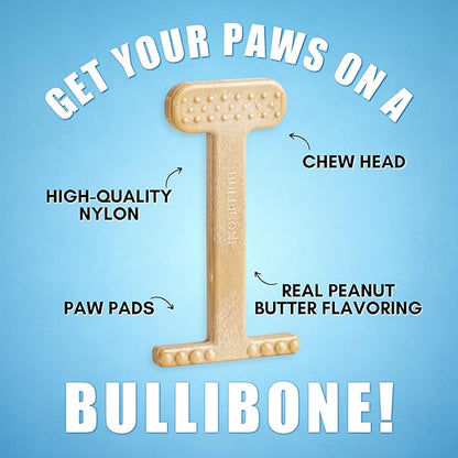 Bullibone Nylon Dog Chew Toy for Aggressive Chewers - Dental Hygiene Bone with Peanut Butter Flavor, Durable Tough Chew Toys for Small Dogs, Indestructible Dog Bone - 3 Pack