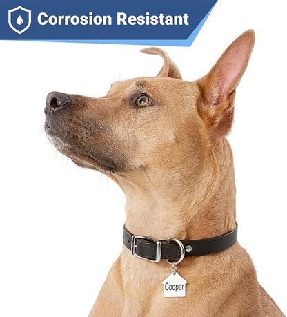 GoTags Stainless Steel Pet ID Tags, Personalized Dog Tags and Cat Tags, up to 8 Lines of Custom Text, Engraved on Both Sides, in Bone, Round, Heart, Bow Tie and More