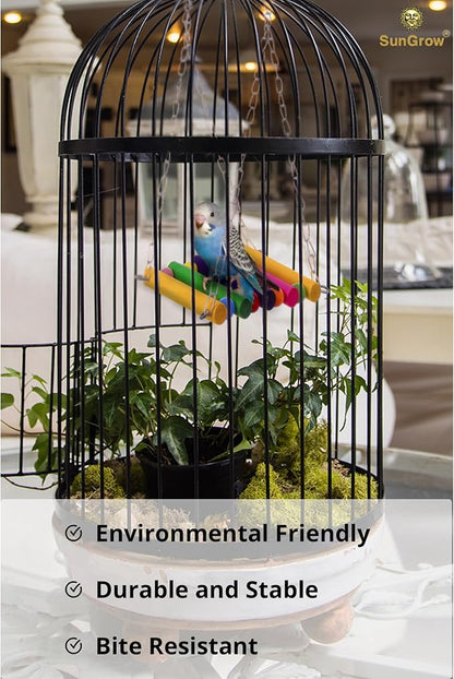 SunGrow Parrot Bird Swing Wooden Perch, Hanging Cage Accessory, Metal Chain Clasp, Colorful Bead Bar Design, Climb Ladder Hammock Setup, Indoor Mount System for Small Medium Pet Type Conure Parakeet