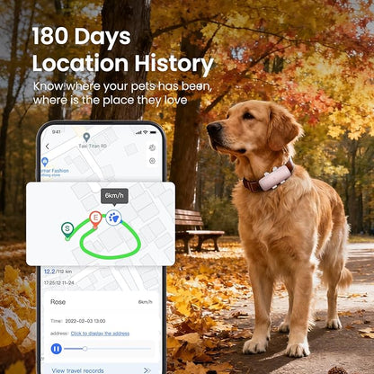 SEEWORLD Cat Tracker Mini GPS Pet Tracker for Dogs Cats Real-Time Location Tracker Virtual Fence 180 Days Location History 4G Dog Tracker for 6.5lbs+ Pets, Subscription Required
