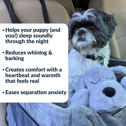 Snuggle Puppy Junior Heartbeat Puppy Toy - Heartbeat Puppy for Dogs - Pet Anxiety Relief and Calming Aid - Comfort Dog Toy - Behavioral Training and Sleep Aid Cuddle Buddy - Grey