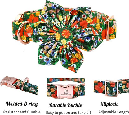 Lionheart Glory Cute Floral Pattern Pet Collar - Adjustable for X-Small Dogs