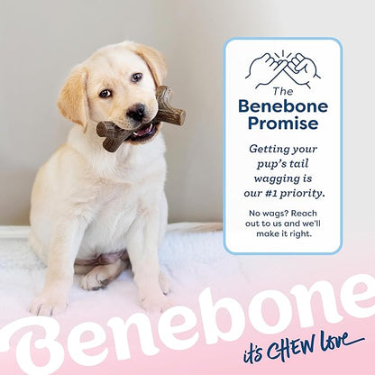 Benebone Puppy Maplestick Dog Chew Toy, Made in USA, Real Maple Wood Flavor, Small, Brown