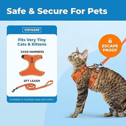 Voyager Escape-Proof Step-in Lock Cat Harness & 5ft Neoprene-Handle Leash Set All-Weather Mesh with Reflective Stitching for Small to Large Cats by Best Pet Supplies, Orange (327), XXXS
