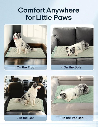 ZonLi Dog Cooling Mat, 59" x 40"Extra Large, Waterproof Cooling Pad for Dogs & Cats, Portable & Durable Pet Mat for Crate, Trunk, Camping, Outdoors, Machine Washable, Ice Green