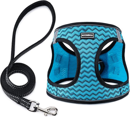 BOOMIBOO Dog Harness with Leash Set, No Pull Adjustable Reflective Step-in Puppy Pet Vest Harnesses for Small Medium Large Dogs and Cats,Blue Stripe L