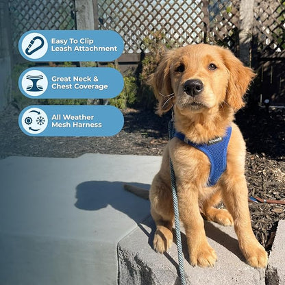 Best Pet Supplies Voyager Step-in Air Harness - All Weather Mesh, Reflective, No Pull Harness for Dogs, Cats - Secure with Hook & Loop Fastener, Buckle, Double D-Rings - Royal Blue, XS