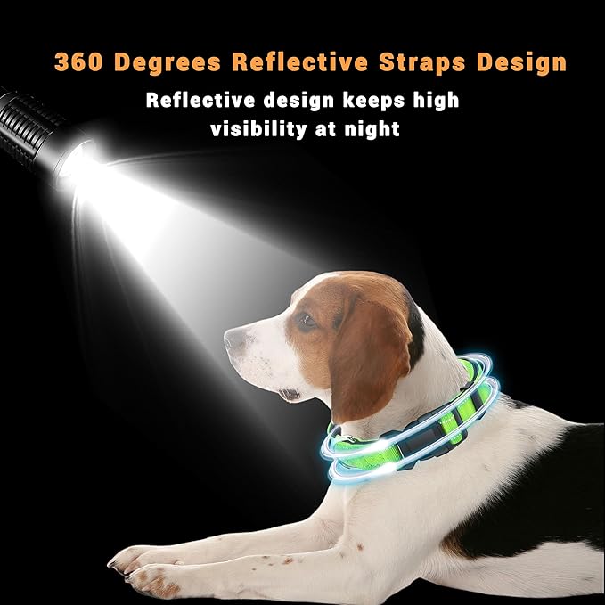 2 Pack Reflective Dog Collar with Safety Locking Buckle, Adjustable Soft Breathable Comfortable Nylon Pet Collar for Small, Medium and Large Dogs, Green, XS