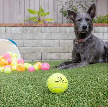 Hyper Pet Tennis Balls for Dogs - 12 Pack 2.5'' Durable Non-Toxic Outdoor Dog Toys Balls with Mesh Bag, for Fetch & Excercise, Medium to Large Breeds (Non Squeaky)